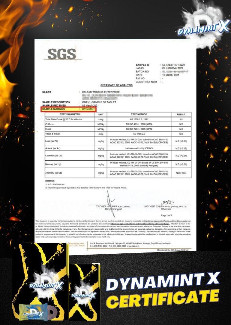 Dynamint X 冷糖 certification